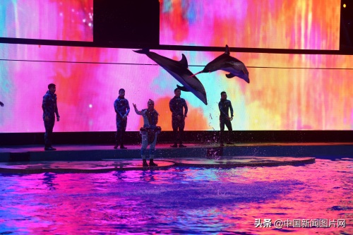 海南三亚：亚特兰蒂斯水族馆 吸引游客