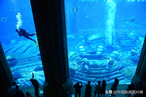 海南三亚：亚特兰蒂斯水族馆 吸引游客