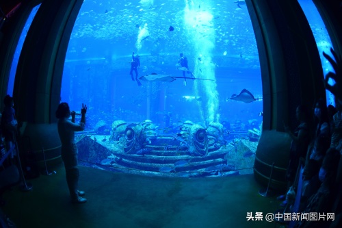 海南三亚：亚特兰蒂斯水族馆 吸引游客